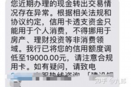 岗巴为什么选择专业追讨公司来处理您的债务纠纷？